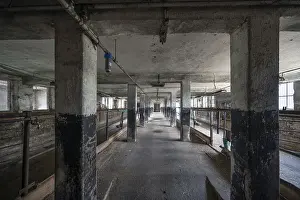 German Democratic Republic History Image Drucke: Empty cowshed of a former LPG of the GDR