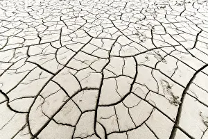 Deserted Bavaria Landscape Drucke: Cracked, dried out soil, Forggensee