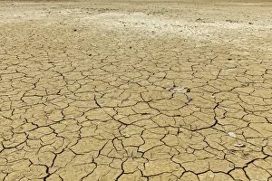 Cracked Earth Texture Drucke: Cracked earth background texture
