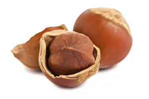 Studio Photography Of Nuts Drucke: Cracked and full hazelnuts on a white background