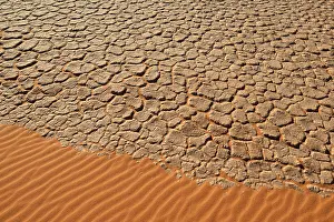 Deserted African Nature Reserve Drucke: Cracked mud patterns on the playa