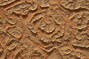 Sahara Desert Landscape Drucke: Cracked mud patterns on the playa