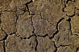 Drought Affected Land Drucke: Cracked soil