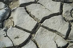 France Travel Photography Drucke: Cracks in the mud in a dried up pond bed
