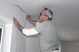 Residential Building Renovation Drucke: Craftsman (painter) for wallpapering work