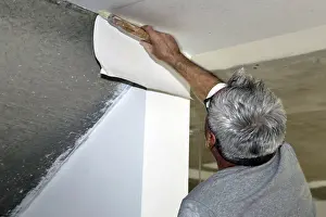 Residential Building Renovation Drucke: Craftsman (painter) for wallpapering work