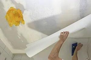 Residential Building Renovation Drucke: Craftsman (painter) wallpapers the ceiling