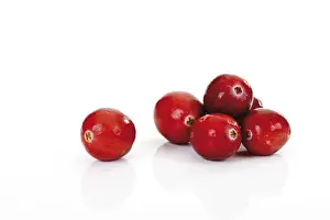 American Cranberry Fruit Drucke: Cranberries