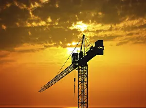 Beautiful Evening Sky Drucke: Crane and beautiful sunset
