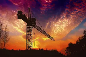 Atmospheric Backlight Shot Drucke: The crane at sunset