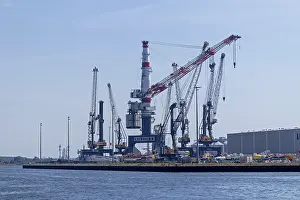 Northern Germany Harbor Drucke: Cranes in the harbour, Warnemunde