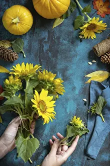 Blue Background Image Drucke: Creative festive autumn decor of pumpkins
