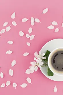 Pastel Pink Background Drucke: Creative flat lay concept top view of coffee cup