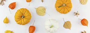 Autumn Composition Drucke: Creative Top view flat lay autumn composition