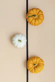 Autumn Composition Drucke: Creative Top view flat lay autumn composition