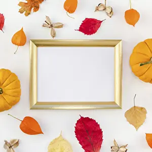 Autumn Composition Drucke: Creative Top view flat lay autumn composition