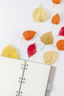 Autumn Composition Drucke: Creative Top view flat lay autumn composition