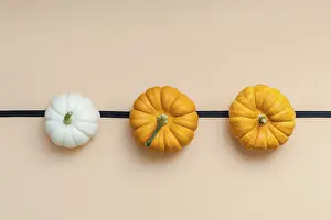 Autumn Composition Drucke: Creative Top view flat lay autumn composition