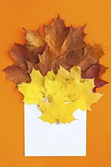 Erntedankfest Drucke: Kreatives Topansicht-Flachaufbau-Herbst-Konzept-Zusammensetzung