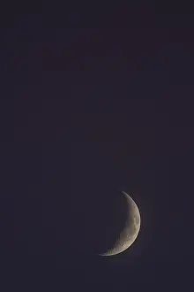 Crescent Moon Germany Drucke: Crescent moon in the reddish evening sky