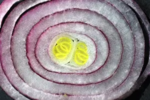 Organic Vegetable Diet Drucke: Cross-section of an onion