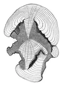 Empty Uninhabited Landscape Art Drucke: Cross-section at the stem shown in fig