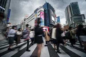 Crowded City Streets Drucke: Crowd crossing zebra crossing on a large intersection