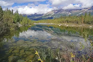 US American Autumn Landscape Drucke: Crystal clear, translucent lake