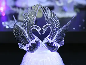 Plain Colored Background Animals Drucke: Crystal swans on a dark background