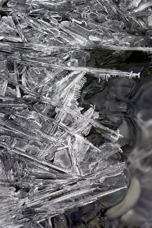 Frozen Landscape Drucke: Crystalline ice pattern