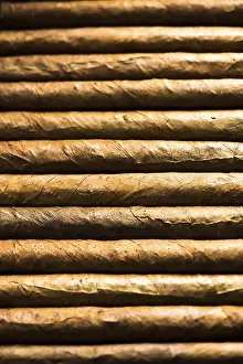 Deserted Abbey Buildings Drucke: Cuban cigars background from above