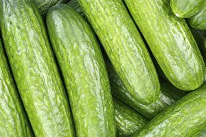 Vegetable Studio Shot Drucke: Cucumbers Cucumber Vegetable Background from above
