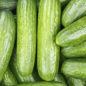 View From Above Vegetables Drucke: Cucumbers Cucumber Vegetable Background from above square