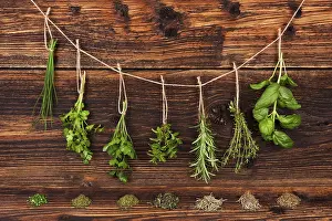 Aromatic Herbs Drucke: Culinary herbs. Aromatic herbs