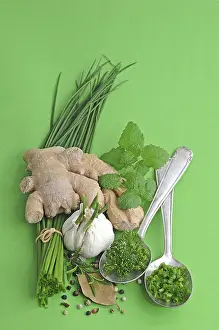 Culinary Herbs Drucke: Culinary herbs and spices, ginger