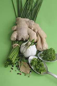 Culinary Herbs Drucke: Culinary herbs and spices, ginger