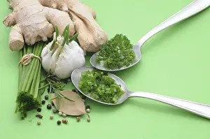 Spicy Food Ingredients Drucke: Culinary herbs and spices, ginger
