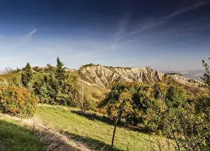 Italian Countryside Drucke: Cultivated fields of red
