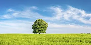 German Countryside Photo Drucke: Cultivated landscape in spring