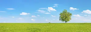 Central European Landscape Photo Drucke: Cultivated landscape in spring