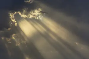 Cumulonimbus Cloud Formation Drucke: Cumulus cloud and rays of sunlight in the evening