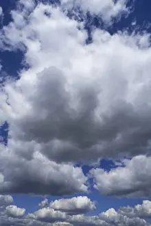 Weather Forecast Images Drucke: Cumulus clouds