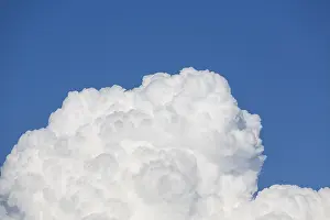 Cumulus Clouds Drucke: Cumulus Clouds