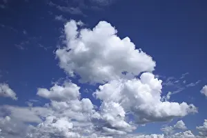 Cumulus Clouds Drucke: Cumulus clouds