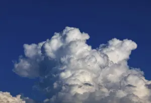 Drucke von Wolkenstratus im blauen Himmel, Cumuluswolke, Clusterwolke, Mondseeland, Salzkammergut, Österreich Humilis Drucke: Wolkenstratus im blauen Himmel