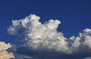 Drucke von Wolken in Form von Cumulus im blauen Himmel, Cumuluswolken, Clusterwolke, Mondseeland, Salzkammergut Österreich Humilis Drucke: Wolkenstratus im blauen Himmel.