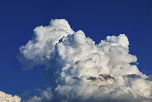 Drucke von Wolken von der Art Cumulus in einem blauen Himmel, Cumuluswolken, Wolkencluster, Mondseeland, Salzkammergut, Österreich Humilis Drucke: Wolkenstratus im blauen Himmel