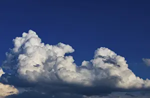 Drucke von Wolkenstratus im blauen Himmel, Cumuluswolke, Clouddomäne, Mondseeland, Salzkammergut, Österreich Humilis Drucke: Wolken in Form von Cumulus im blauen Himmel.