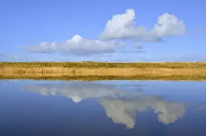 North Sea Coastal Scenery Drucke: Cumulus clouds reflected in water