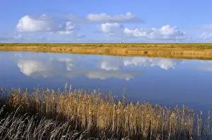 Northern Germany Coastal Scenery Drucke: Cumulus clouds reflected in water